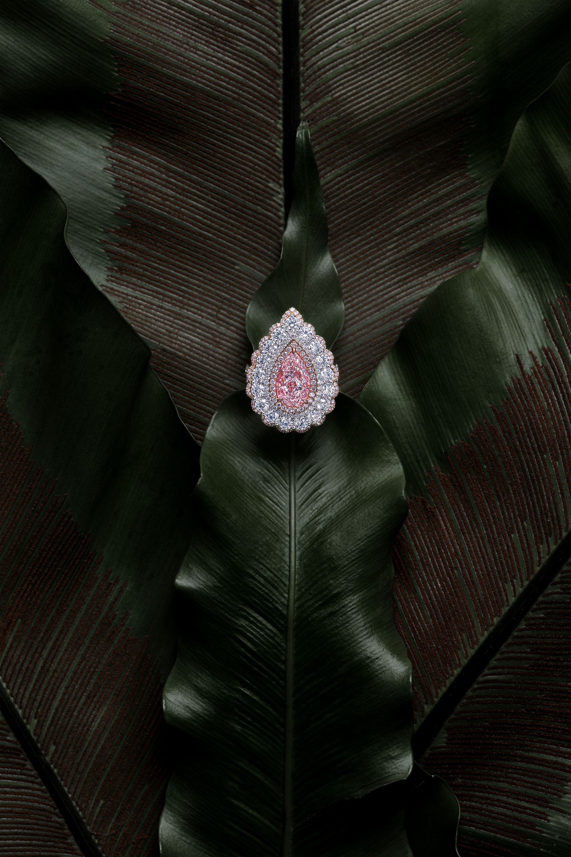 thingstudio